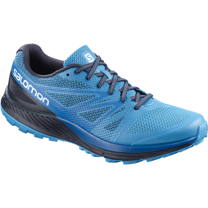 Salomon Singapore Mens Trail Running Shoes - SENSE ESE Blue/Navy | 03196-ZIWJ